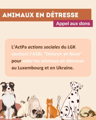 🔹Animaux en détresse: toi aussi, soutiens la cause🔹
Aimez et partagez cette info!
#LGK #Lycéeguillaumekroll #LGKESCH
#Esch #Luxembourg #Eschsuralzette
▪️Motivéiert an engagéiert an d’Zukunft▪️